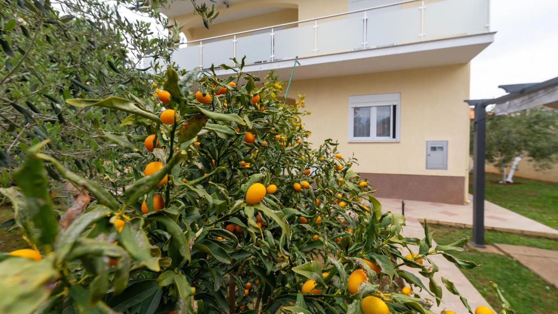 Apartment Villa K&F Borik Zadar